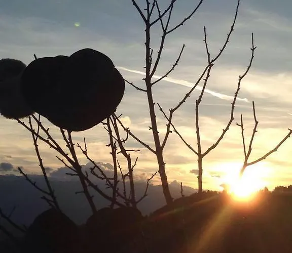 калпаците - Kalpacite Guest house 3*